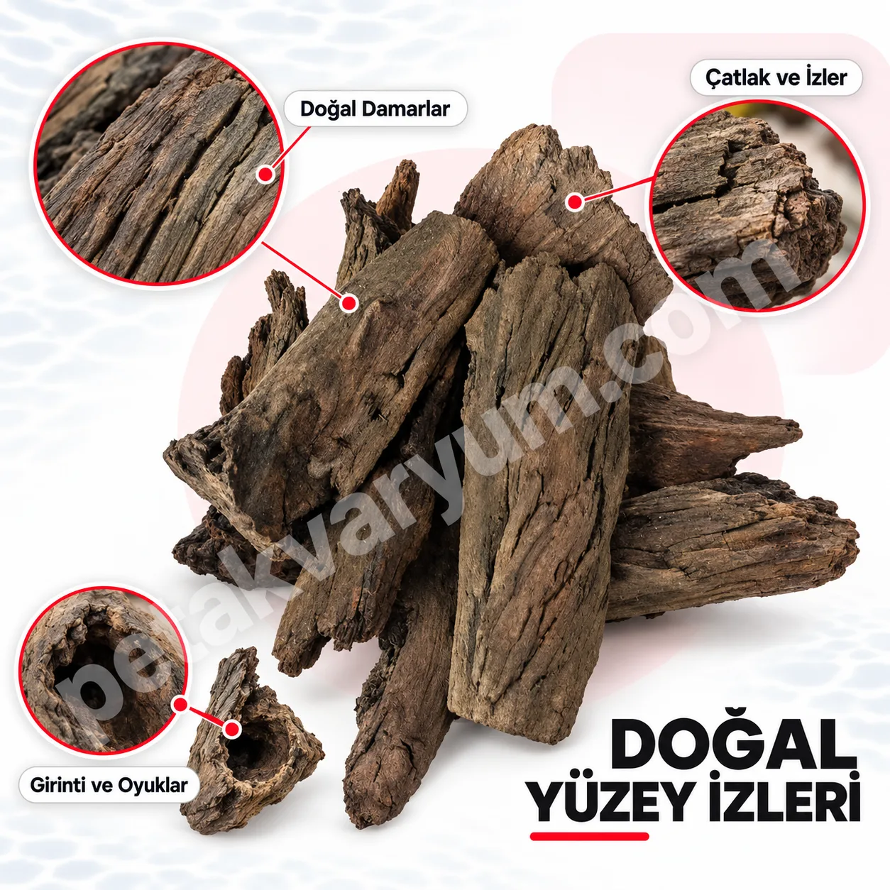 Doğal Akvayum Kökü Mangrow | Petakvaryum