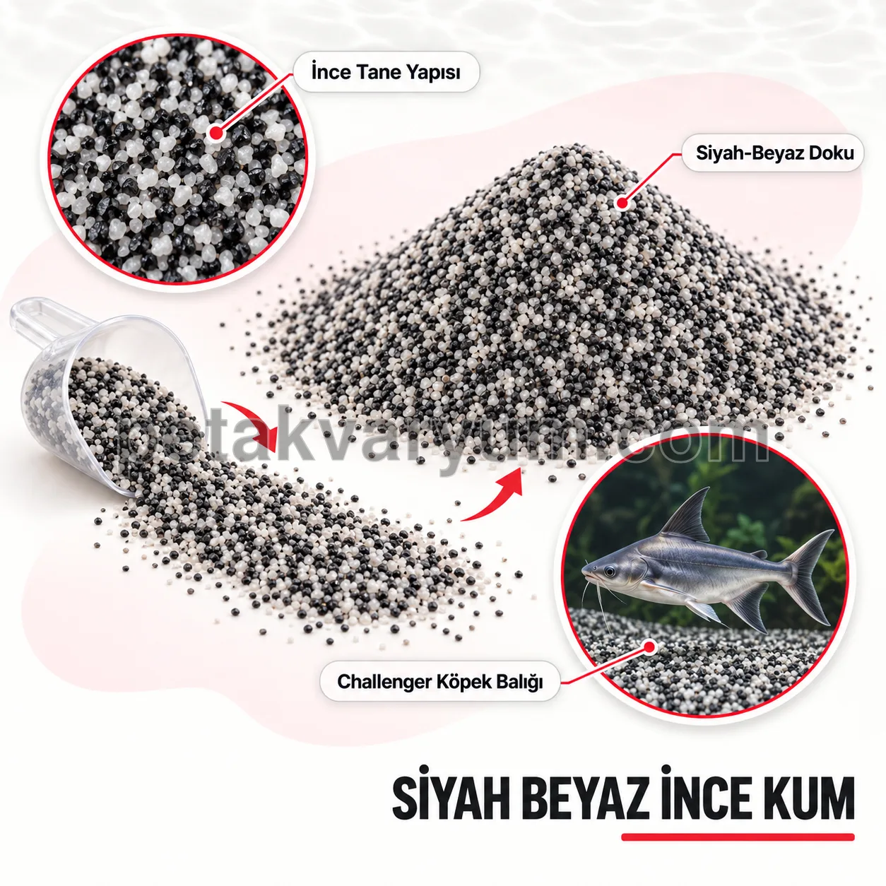 Siyah Beyaz İnce Akvaryum Zemin Kumu
