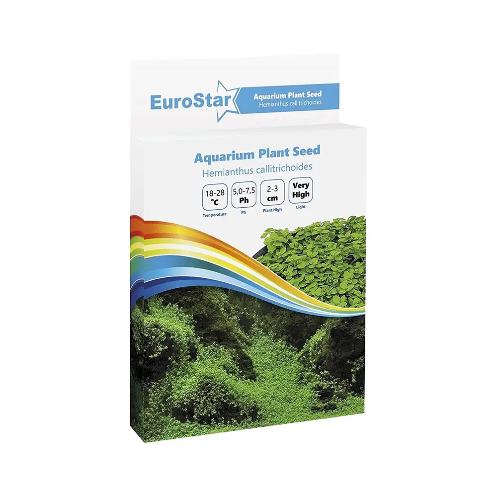 EuroStar Bitki Tohum Small Leaf Base Plant